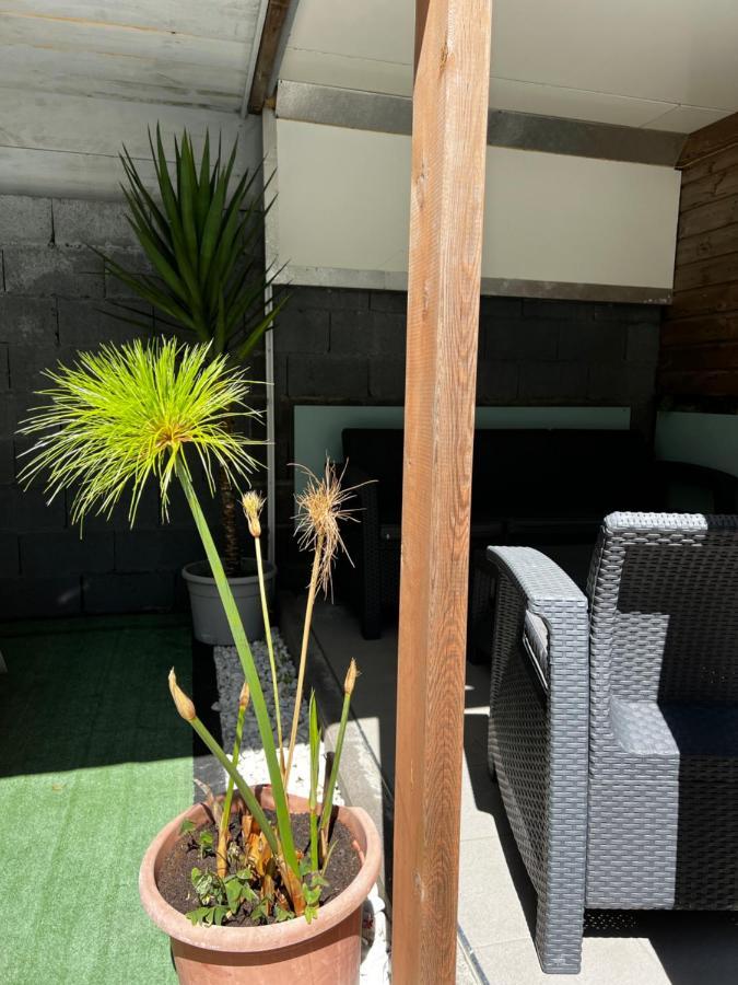 L'améthyste - Bungalow de charme Cilaos Esterno foto
